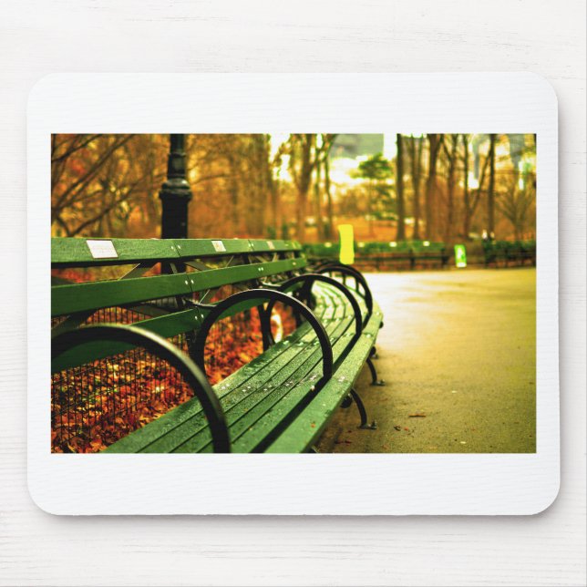 Bench i Central Park, New York City Musmatta (Framsidan)