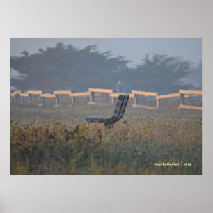 Bench med en vy poster