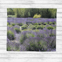 Bench Mitten i Lavender Fält