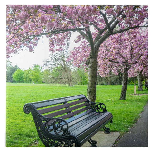 Bench- och cherry-blommar, keramiskt plattor kakelplatta (Framsidan)
