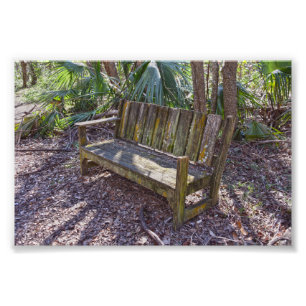 Bench-Park Bench, Dauphin Island Fototryck