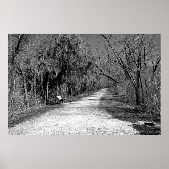 Bench Poster (Framsidan)