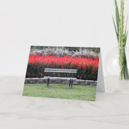 Bench Red Blommigt Photo Kort