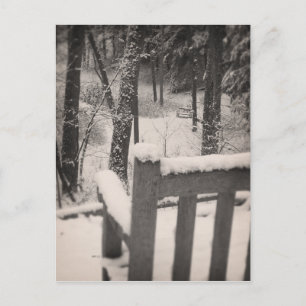 Benches som omfattas av snö vykort