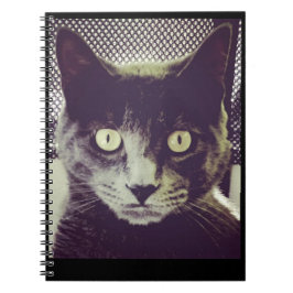 Bender Note bok Anteckningsbok