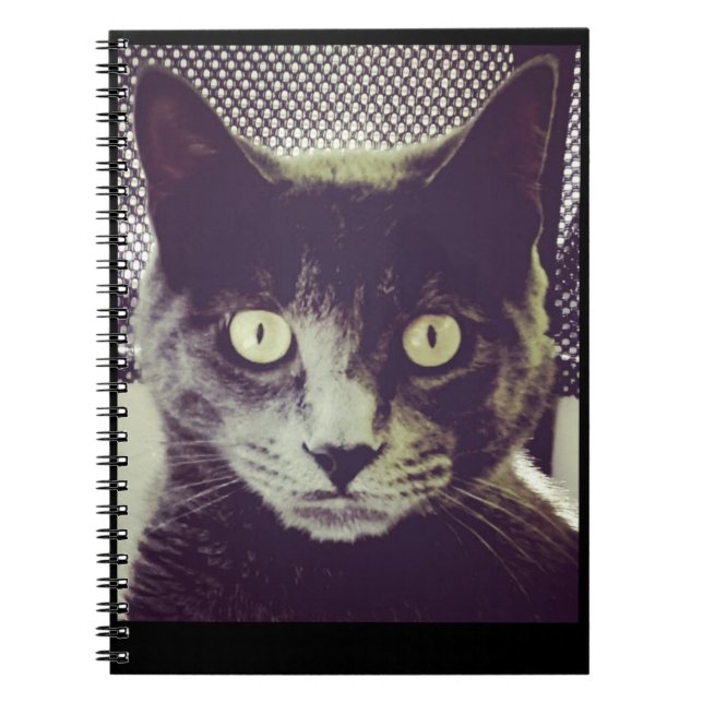 Bender Note bok Anteckningsbok (Framsidan)