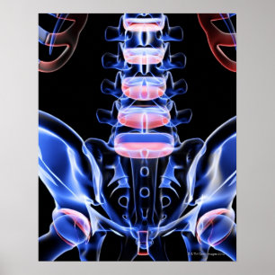 Benen på nedre sidan 5 poster