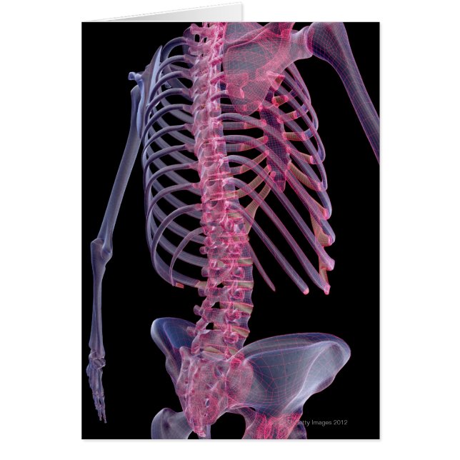 Benen på segmentet hälsningskort (Framsidan)