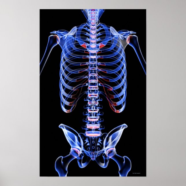 Benen på segmentet poster (Framsidan)