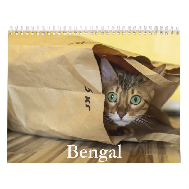 Bengal Calendar Kalender (Omslag)