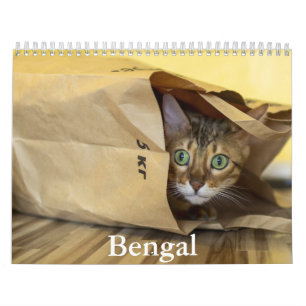Bengal Calendar Kalender