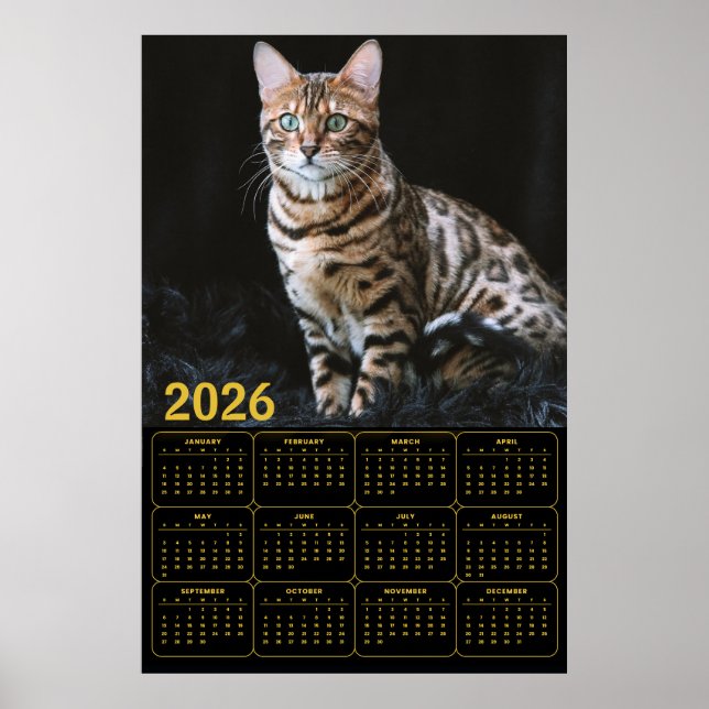 Bengal Cat 2026 Calendar Poster (Framsidan)