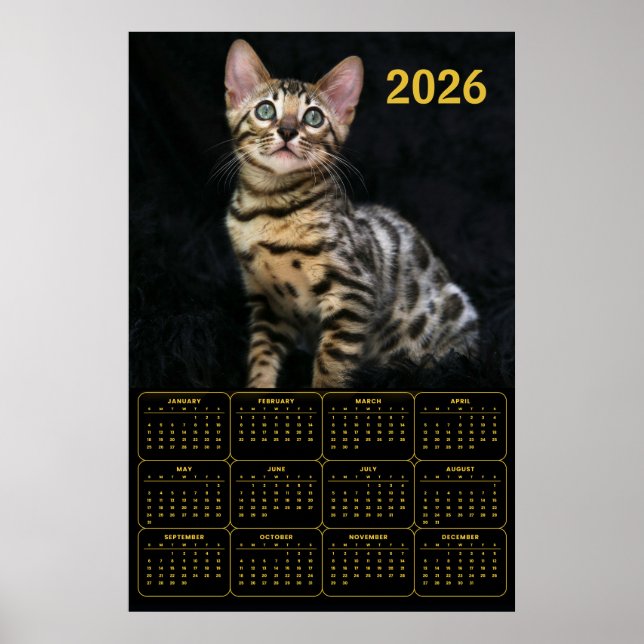 Bengal Cat 2026 Calendar Poster (Framsidan)