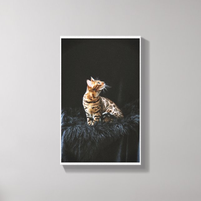Bengal-cat Canvastryck (Framsida)