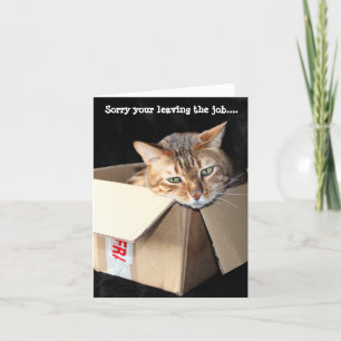 Bengal cat hälsning-kort "Förlåt att du lämnar..". Helgkort