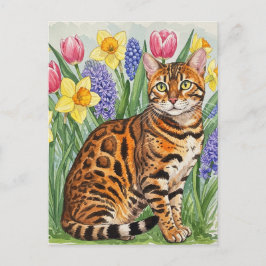 Bengal Cat i Vår-vykort Vykort