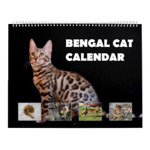 Bengal Cat Kalender