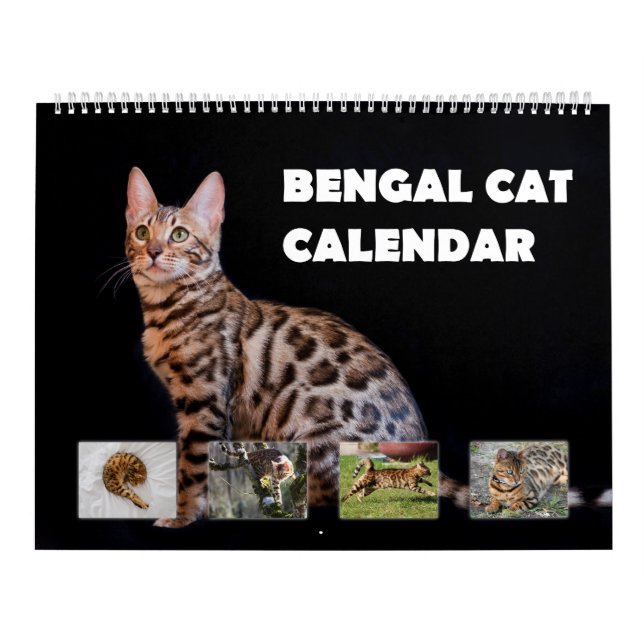 Bengal Cat Kalender (Omslag)