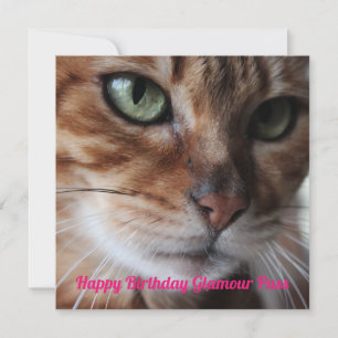 Bengal Cat Photographic Day Day Card Julkort
