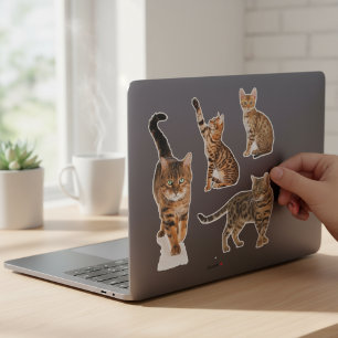 Bengal Cat Stickers Klistermärken