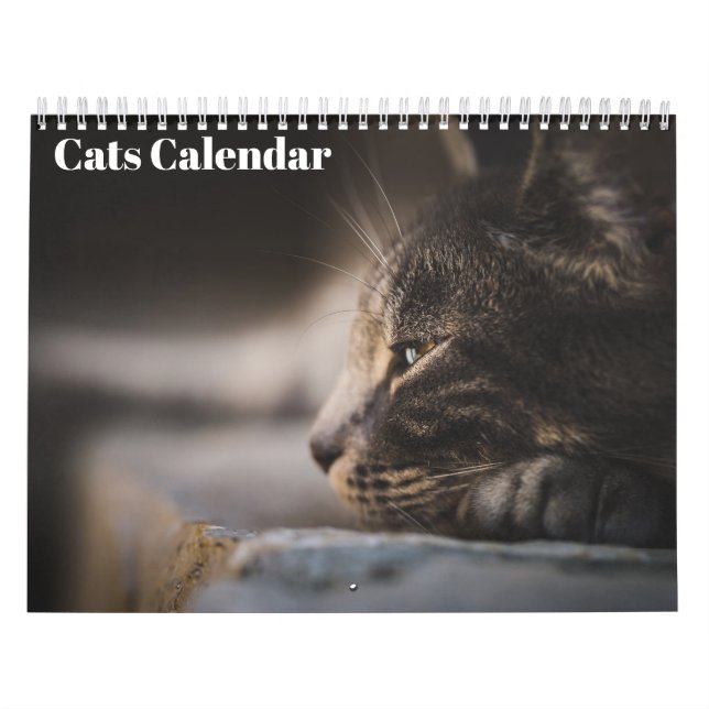 Bengal Cats 2025-kalender Kalender (Omslag)