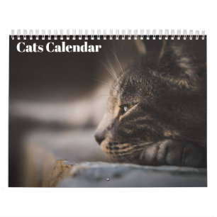 Bengal Cats 2025-kalender Kalender