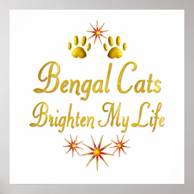 Bengal Cats Brighten Mitt liv Poster (Framsidan)