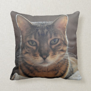 Bengal kärlek kudde