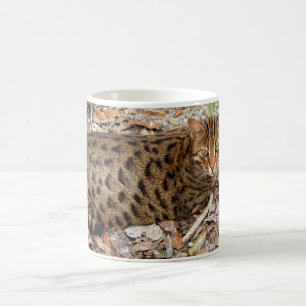 Bengal katt 002 kaffemugg