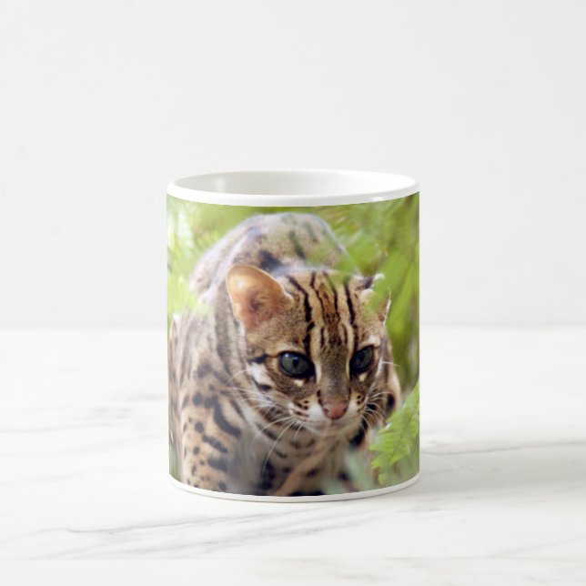Bengal katt 004 kaffemugg (Center)