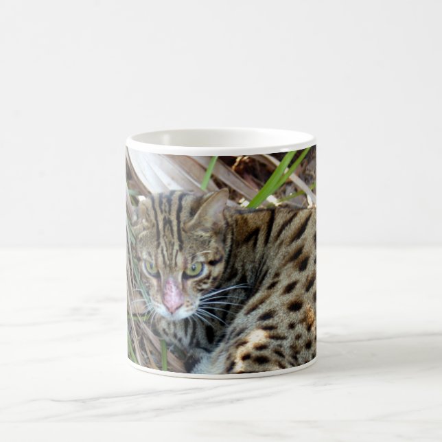 Bengal katt 005 kaffemugg (Center)