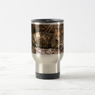 Bengal katt 013 resemugg