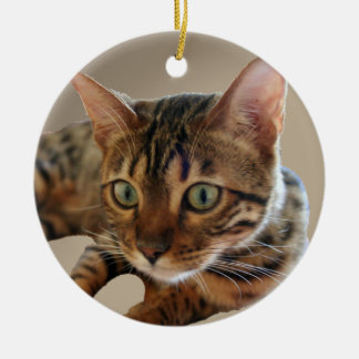 Bengal katt julgransprydnad keramik