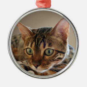 Bengal katt julgransprydnad metall