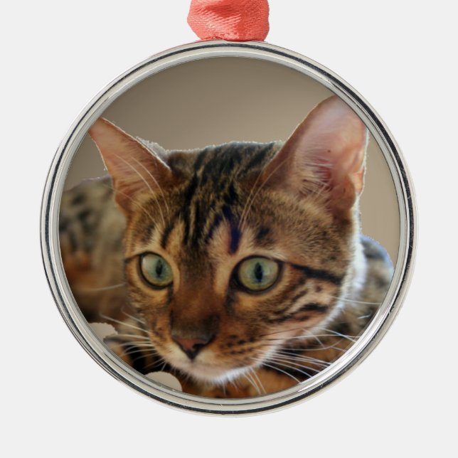 Bengal katt julgransprydnad metall (Framsidan)