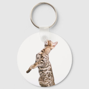 Bengal katt nyckelring