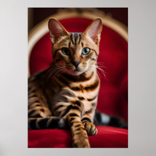 Bengal Katt Porträtt Fin Konst Affisch — Regnbåge