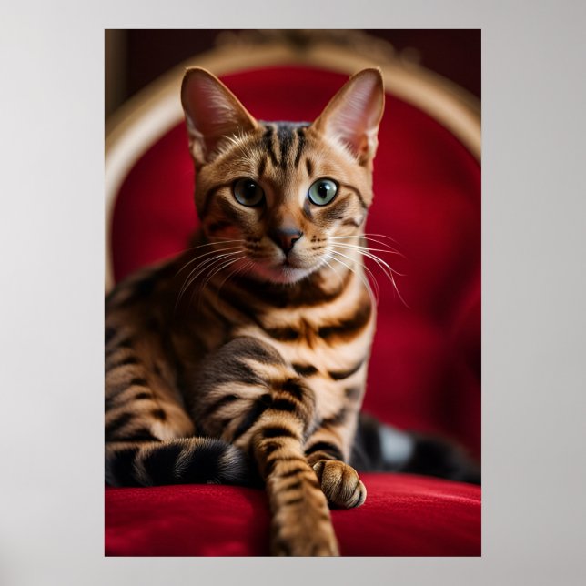 Bengal Katt Porträtt Fin Konst Affisch — Regnbåge  (Framsidan)