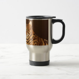 Bengal katt resemugg