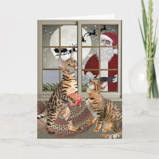 Bengal katt som håller ögonen på Santa kort
