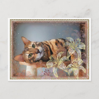 Bengal kattmålning vykort