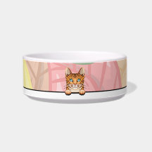 Bengal kattmatskål
