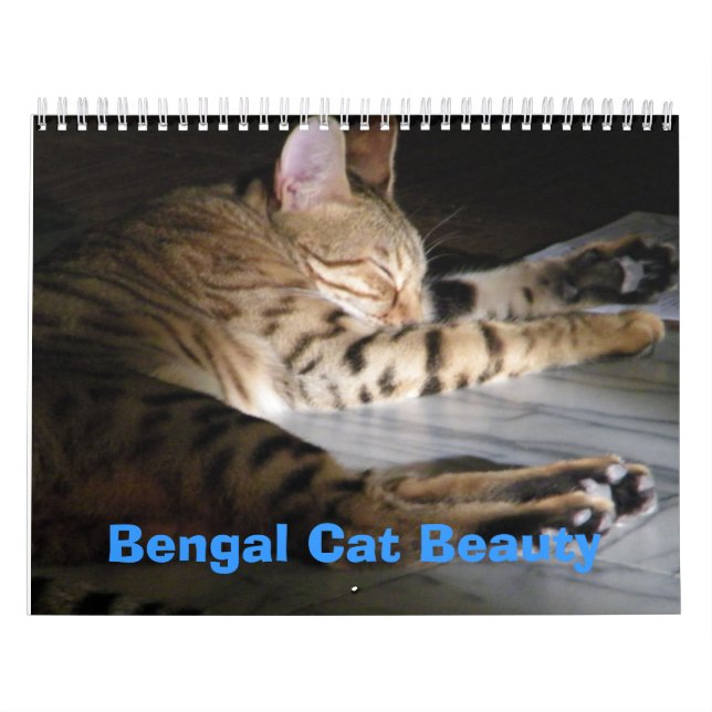 Bengal kattskönhet kalender (Omslag)