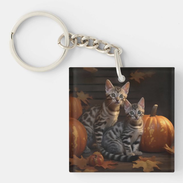 Bengal kattunge Höstglädje Pumpa  (Framsidan)