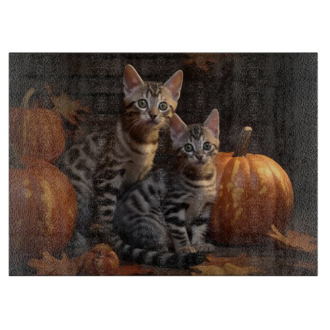 Bengal kattunge Höstglädje Pumpa  (Framsidan)