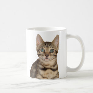 Bengal kattungemugg kaffemugg