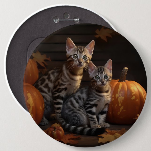 Bengal Kitten Heumn Delight Pumpkin Knapp (Framsida & baksida)