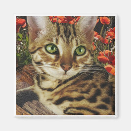 Bengal Magnets Magnet