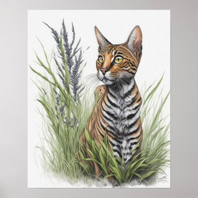 Bengal Pet Cat Poster (Framsidan)
