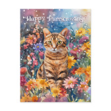 Bengal Postcross - vykort